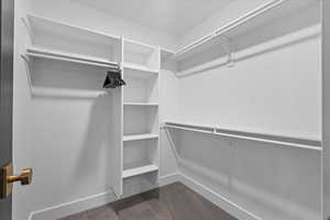 Spacious closet featuring dark carpet