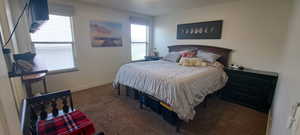 Bedroom with carpet floors and multiple windows