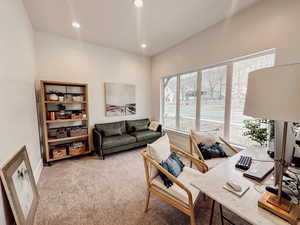 Living room featuring carpet flooring and recessed lighting