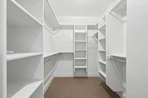Spacious closet featuring dark colored carpet