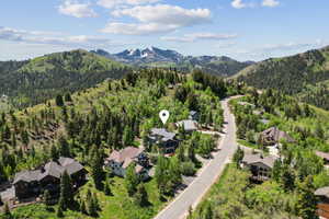 Aerial perspective of suburban area featuring a heavily wooded area and a mountainous background