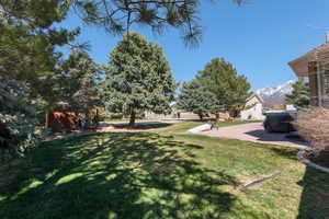 Corner of backyard with patio to the right