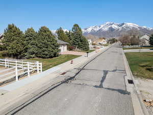 Curb and gutter off of main road. Photo shows driveway leading to the house on the left