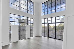 Spare room with a towering ceiling, plenty of natural light, and wood finished floors