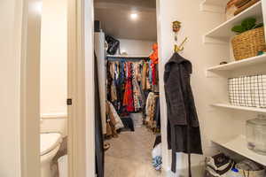 Walk in closet with carpet