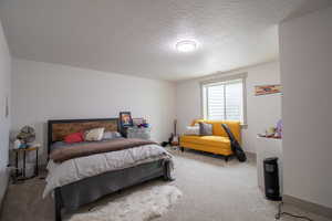 Bedroom featuring carpet floors, visible vents, and a textured ceiling