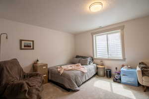 Carpeted bedroom with visible vents and a textured ceiling
