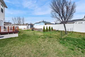 Large back yard