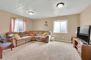 Carpeted family room