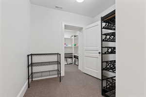 Walk in closet featuring visible vents and carpet