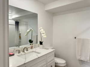 Full bathroom with toilet, a shower with shower curtain, and vanity