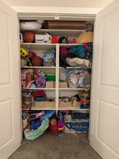 View of hallway closet