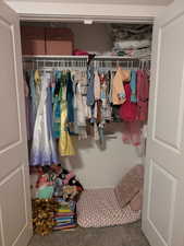 View of closet (bedroom 2)