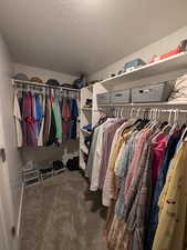 Walk in closet featuring carpet in master bedroom