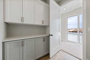 Laundry area featuring baseboards, light wood-style flooring, visible vents, and light colored carpet