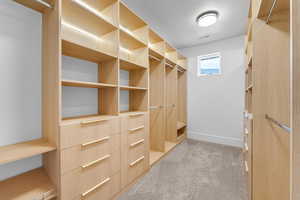 Spacious closet featuring visible vents and carpet