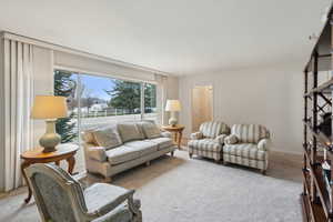 Living area with carpet flooring
