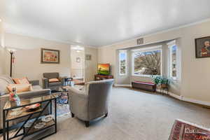 Living room featuring baseboards, light colored carpet, and ornamental molding