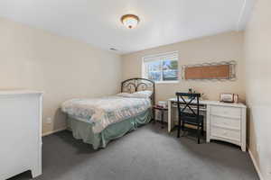 Bedroom with baseboards, visible vents, and carpet