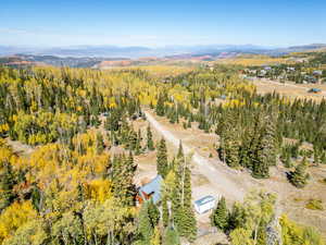 Aerial view featuring a wooded view and a mountain view