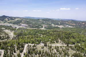 Aerial view with a mountain view