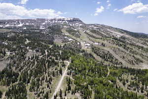 Drone / aerial view with a mountain view