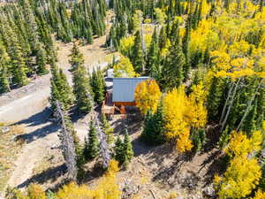 Bird's eye view with a forest view