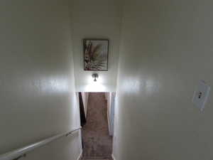 Staircase with carpet.