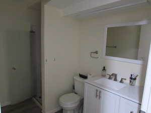 Bathroom with toilet, a stall shower, and vanity