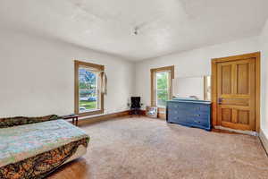 Bedroom with baseboards and carpet