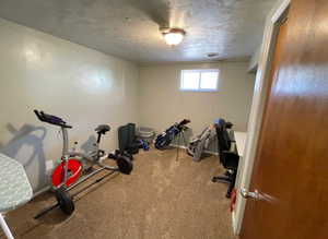 Workout room with carpet, baseboards, and a textured ceiling