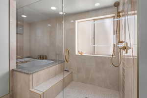 Walk in shower and large bath