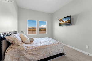 Carpeted bedroom with great views