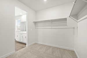 Spacious closet featuring light colored carpet and a sink