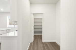 Walk in closet with light wood-type flooring