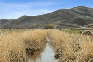 Ditch 1 running through the property allowing flood irrigation.