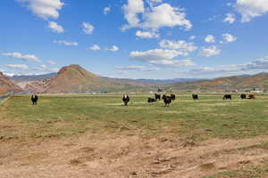 Property view of mountains featuring a rural view