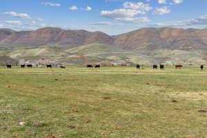 Property view of mountains featuring a rural view