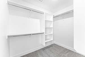 Spacious closet featuring light colored carpet