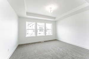 Empty room featuring carpet floors and a raised ceiling