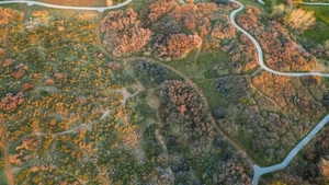 Aerial view of property and surrounding area