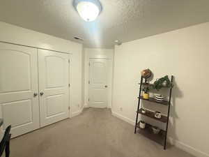 Interior space featuring light colored carpet, baseboards, a textured ceiling, visible vents, and a closet