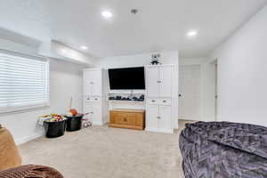 Family room in the basement, featuring light carpet, baseboards, visible vents, and recessed lighting.