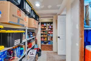 View of storage in the basement with shelves