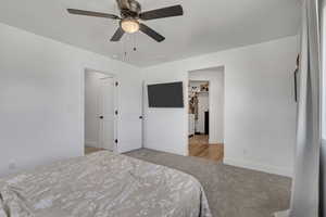 Bedroom with a closet, a spacious closet, light colored carpet, and baseboards