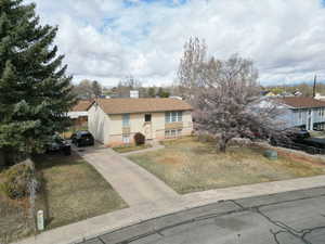 Split entry-style home with fence, a front yard, roof with shingles, and driveway