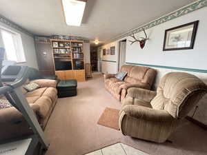 Carpeted living area with a textured ceiling