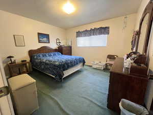 Bedroom with carpet floors