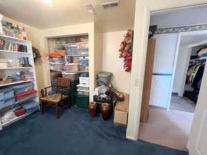 Bedroom featuring carpet flooring and visible vents