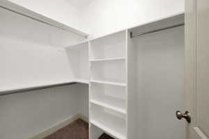 Walk in closet with carpet flooring